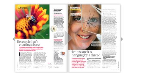 the picture magazine|the picture magazine pdf.